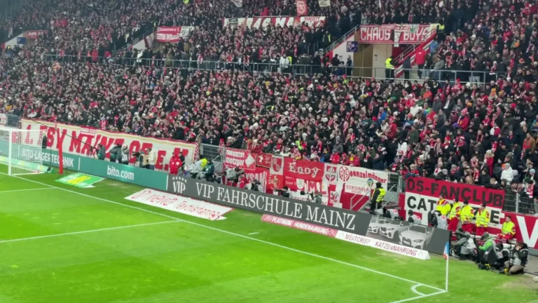 VIP Fahrschule Mainz ist Sponsor von Mainz 05
